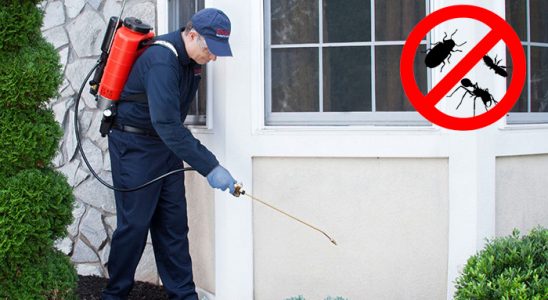 Kulu Gümüşkurt İlaçlama böcek ilaçlama ve haşere kontrolü — ilaclama-tr.com
